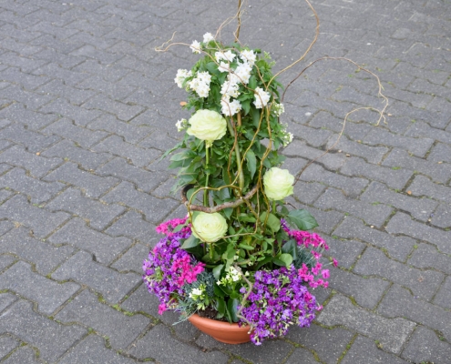 Pflanzschalen, Blumen Hegemann, Bonn-Beuel